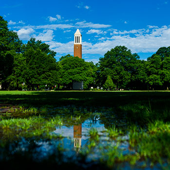 A tower overlooking a lake on campus. Link to What to Give A tower overlooking a lake on campus. Link to What to Give
